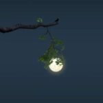 دانلود آهنگ دلم به هر صدایی به هر صدای پایی